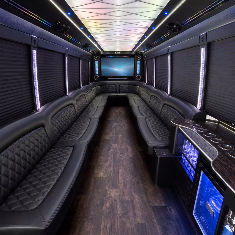 18 Passenger Party Bus Interior