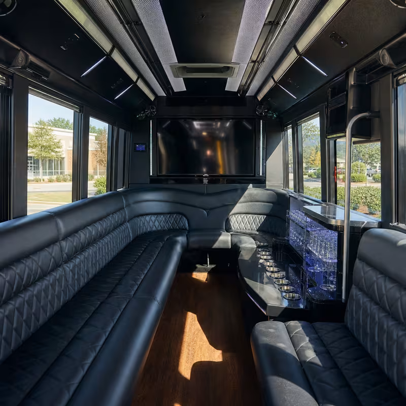 Passenger watching the Arlington scenery during a regional party bus road trip