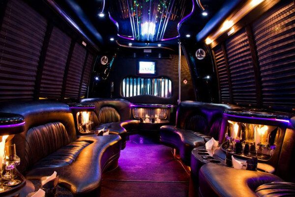 15 Person Party Bus Rental Arlington